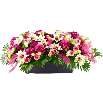 DAHLIA ZINNIA BOUTON