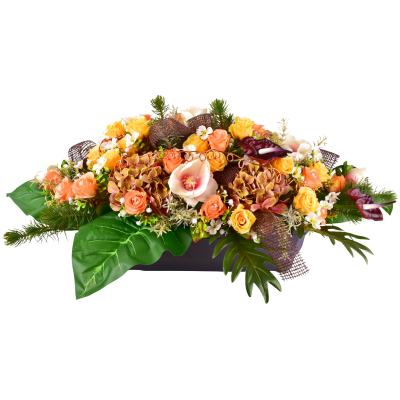 IRMA : ROSE MAGNOLIA