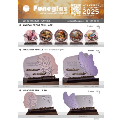 LOT NOUVEAUTE FUNEGLAS 2025-9 PLAQUES