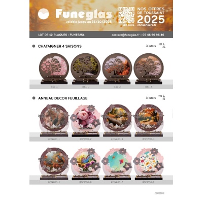 LOT NOUVEAUTE FUNEGLAS 2025-12 PLAQUES