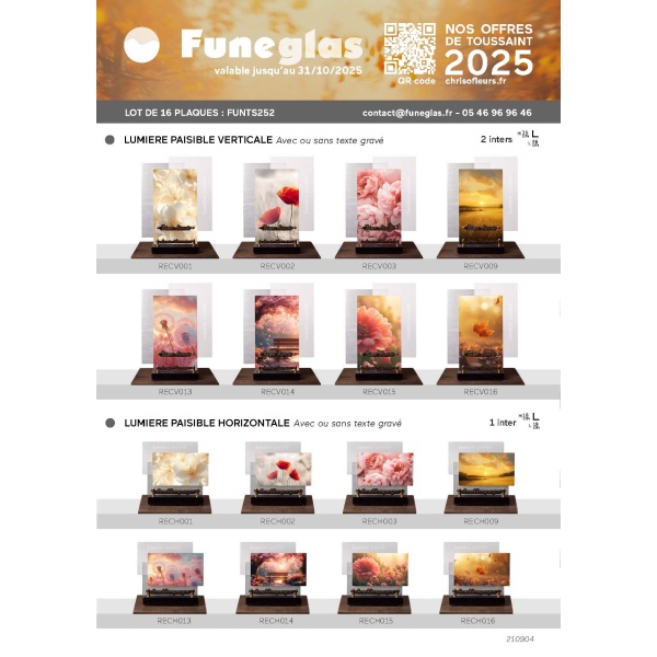 LOT NOUVEAUTE FUNEGLAS 2025-16 PLAQUES