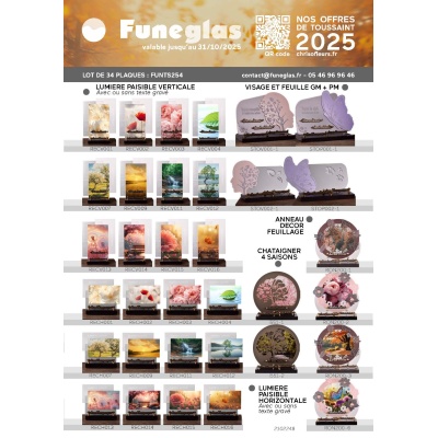LOT NOUVEAUTE FUNEGLAS 2025-34 PLAQUES
