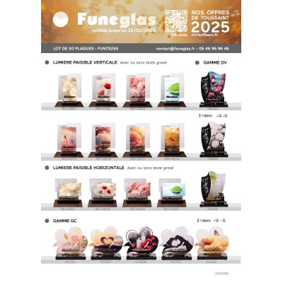 LOT NOUVEAUTE FUNEGLAS 2025-20 PLAQUES