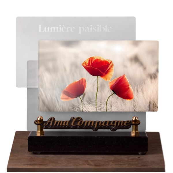 Lumière paisible Horizontale Coquelicots