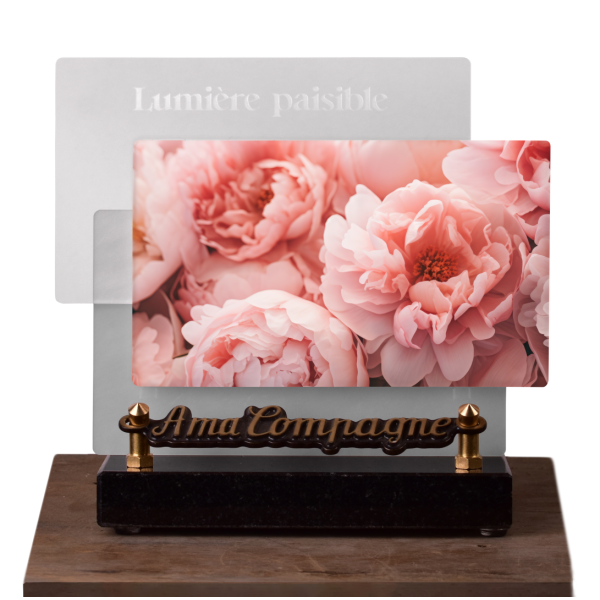 Lumière paisible Horizontale Pivoine