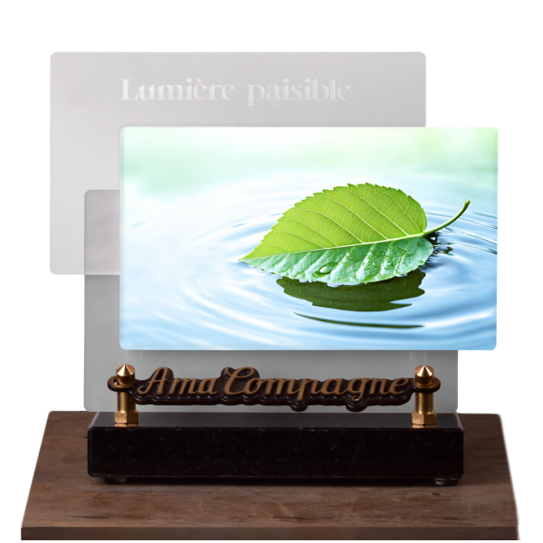Lumière paisible Horizontale Feuille Ondine
