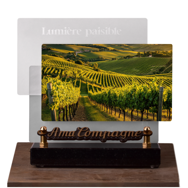 Lumière paisible Horizontale Vigne