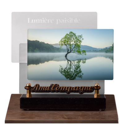 Lumière paisible Horizontale Saule pleureur