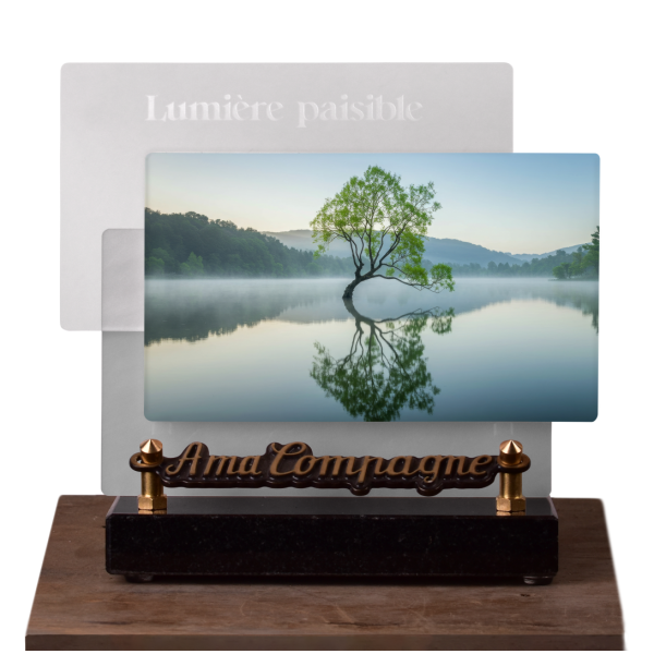 Lumière paisible Horizontale Saule pleureur