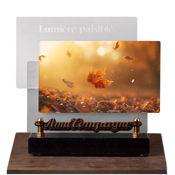 Lumière paisible Horizontale Feuille automne