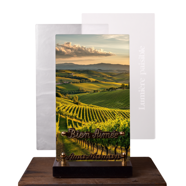 Lumière paisible Verticale Vigne