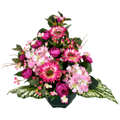 Renoncule Gerbera Daisy