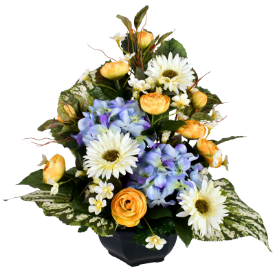 Renoncule Gerbera Daisy