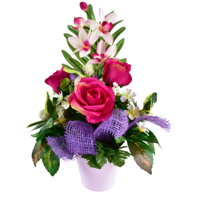 Rose Bouton Orchidée