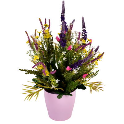 Lavande Fleurs Sauvages