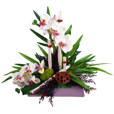 Ultra Plate Orchidée Baie