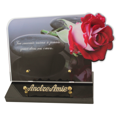 Rose et galets noirs