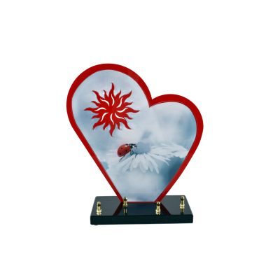 Coeur ruby line coccinelle