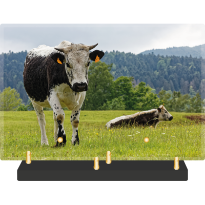 Paysage-régional-Vosges Grand modèle