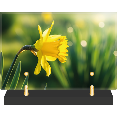 Paysage-régional-Vosges Petit modèle