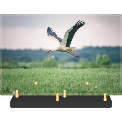 Paysage régional - Alsace Grand modèle